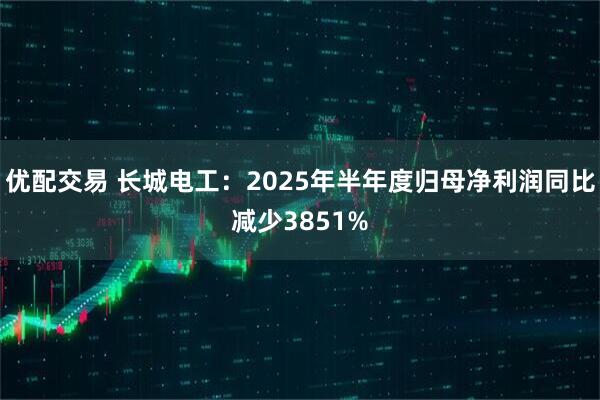 优配交易 长城电工：2025年半年度归母净利润同比减少3851%