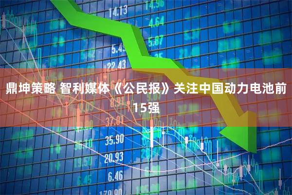 鼎坤策略 智利媒体《公民报》关注中国动力电池前15强