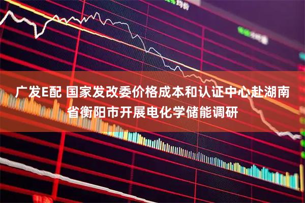 广发E配 国家发改委价格成本和认证中心赴湖南省衡阳市开展电化学储能调研