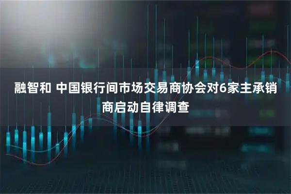 融智和 中国银行间市场交易商协会对6家主承销商启动自律调查